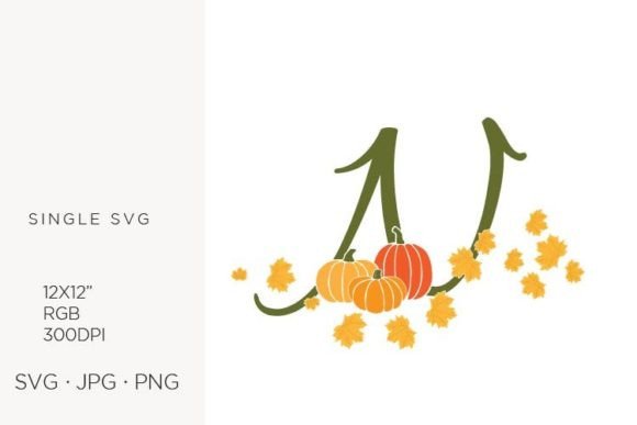 N Letter, Autumn, Leaves and Pumpkin Graphics