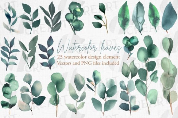 Watercolour Eucalyptus & Green Leaves Graphics